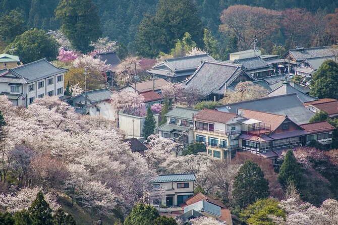 Osaka Kansai Airport to Nara City |A Conveninent Transfer - Booking and Cancellation Policy