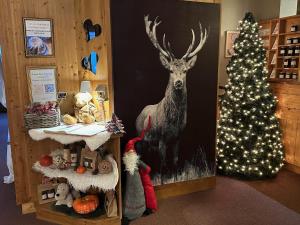 Panorama Hotel - Policies and Regulations