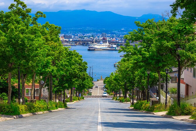 Port Pick-Up: Hakodate Tour With Licensed Guide and Vehicle - Pricing