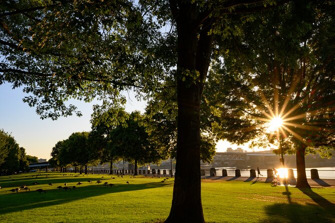 Portland Afternoon City Tour - Traveler Experiences and Reviews