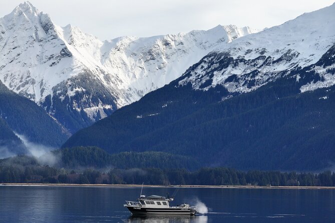 Premier Whale Watching and Wildlife Tour - Expert Guides and Local Expertise