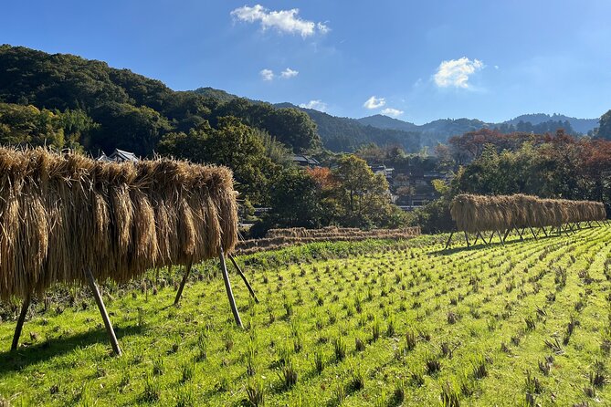 Private 2 Days Tour in Asuka Village Hidden Gems of Nara - Tour Schedule and Confirmation