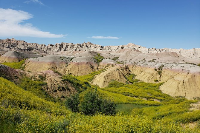 Private 5 Hour Badlands Tour With Local Experts - Guest Experiences and Reviews