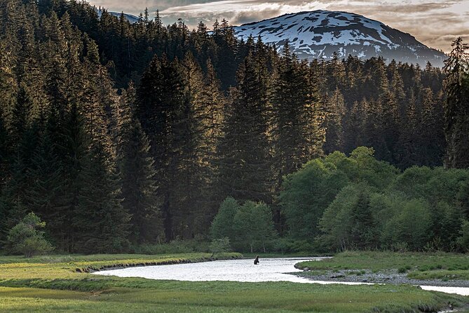 Private Bear Viewing By Seaplane - Schedule and Operating Hours