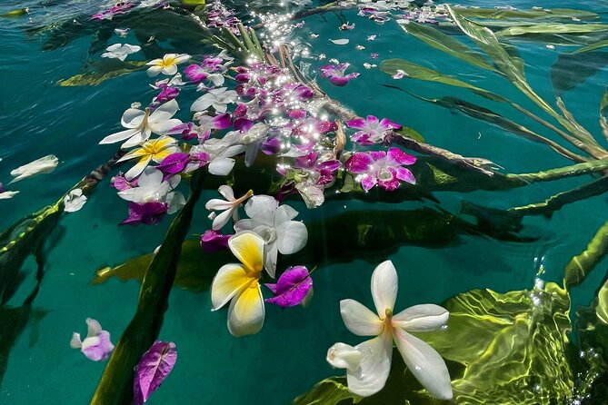 Private Boat Cruise of Waikiki! Snorkel, Sightseeing, Sea Life! - Meeting Point and Pickup Information