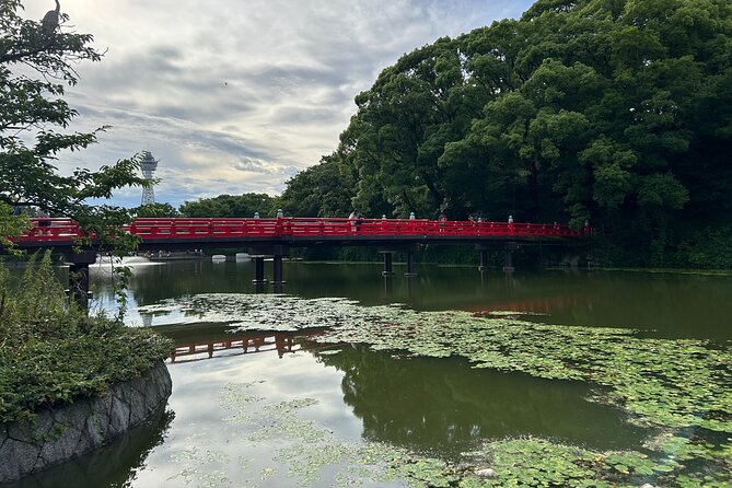 Private Car Tour From Kyoto to Osaka by Japanese Guide - Customizing Your Experience