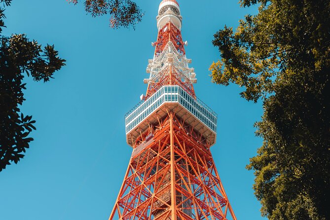 Private Car Tours Explore Tokyo City - Customizing Your Private Car Tour Itinerary