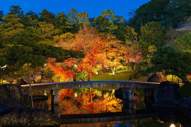 Private Customize Tour Himeji From Kyoto - Accessibility and Health Requirements