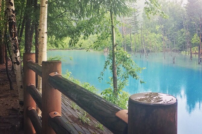 Private Day Trip to Asahiyama Zoo and Biei Blue Pond - Biei Blue Pond