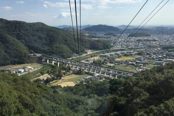 Private Full-Day Guided Tour of Himeji Castle - Highlights of the Tour