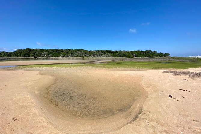 Private Island Eco Tours on a Private Boat From Shackleford Banks - Food and Beverage Options