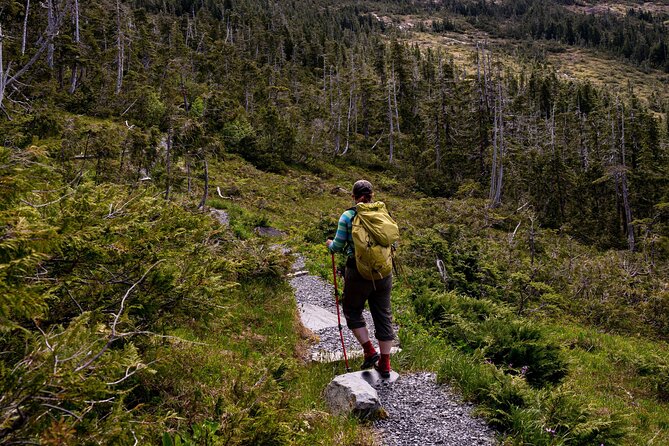 Private Ketchikan Mountain Lake Extended Trek to Alpine Overlook - Health and Safety Guidelines