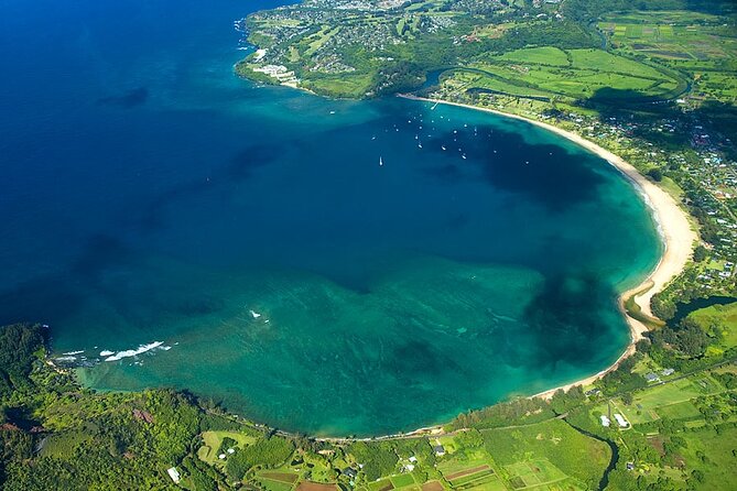 Private Luxury Air Tour Over Kauai - Positive Traveler Reviews and Feedback