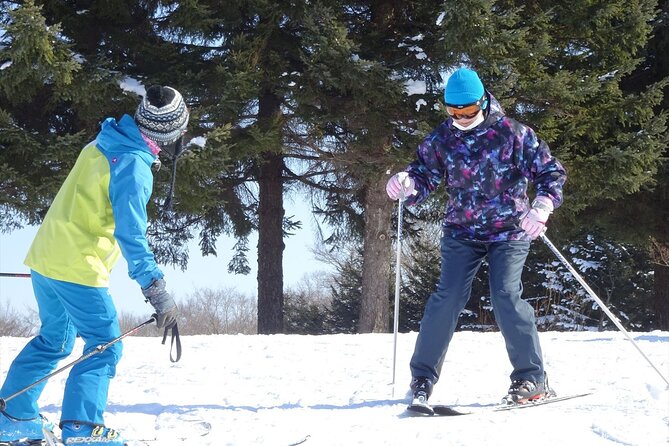 Private Ski Lesson for Beginners in Chitose - What to Expect