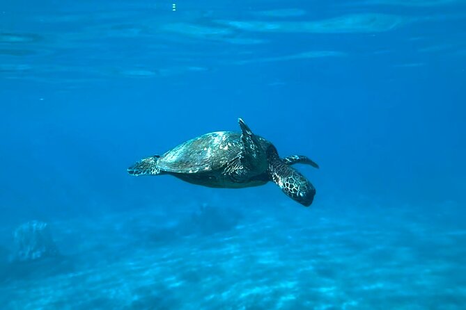 Private Snorkel With Beach Set-Up - Personalized Attention From Guides