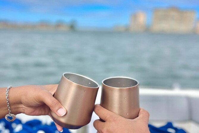 Private Sunset and Dolphin Tour in St. Petersburg, Florida - What to Expect During the Tour