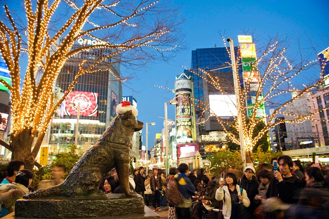 Private Tour in Tokyo 5 Cities and 10 Points Day or Night - Operating Hours