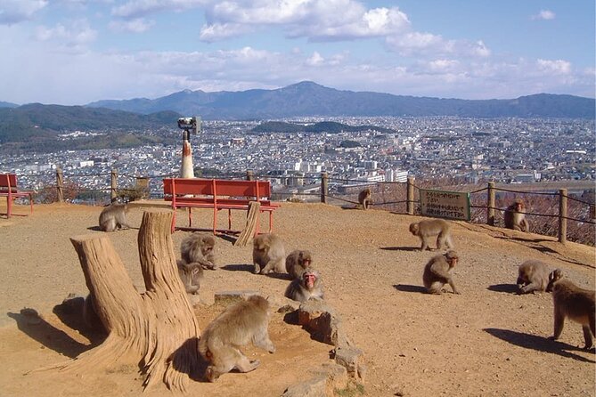 Private Tour to Arashiyama Monkey Park and Arashiyama Highlights - Scenic Hike to the Top of the Mountain