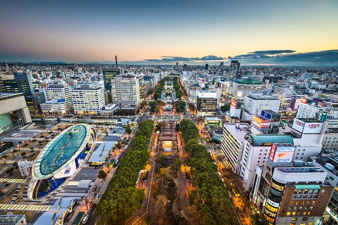 Private Transfer From Osaka Kansai Airport to Nagoya City - Vehicle Options and Capacity