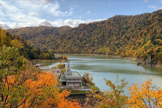 Private Transfer New Chitose Airport to Hokkaido Attractions - Accessibility and Participation