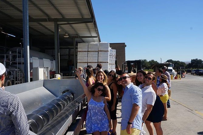 Private Wine Tasting Tour From Santa Ynez, Solvang or Buellton! - Wine Tasting Experience Highlights