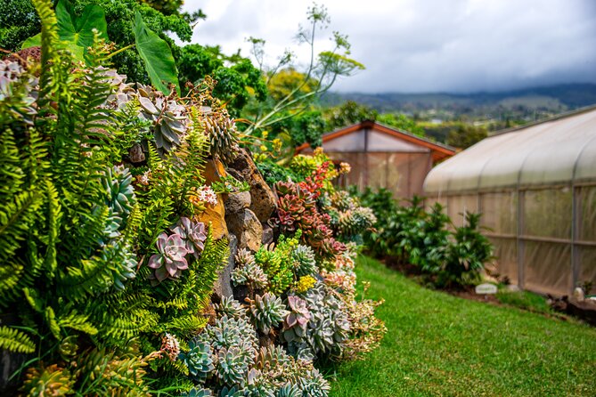 Pueo Farm Tour in Upcountry Kula Maui Hawaii - How to Book Your Pueo Farm Tour