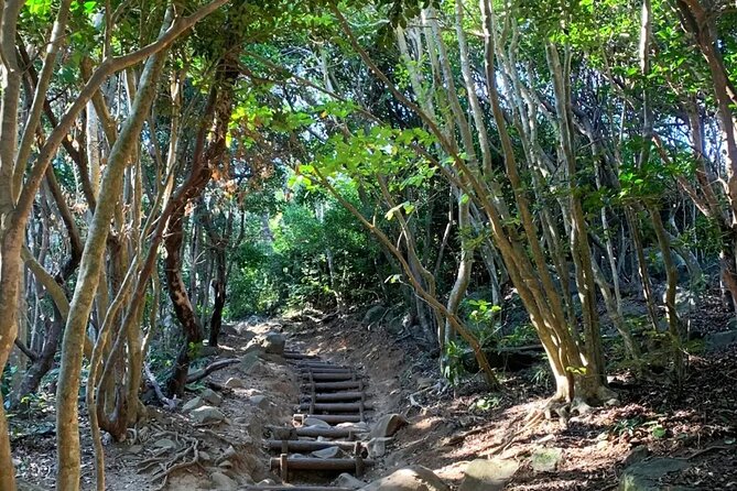 Raizansennyoji Futamigauras Couple Stones Day Tour From Fukuoka - Cancellation and Refund Policy