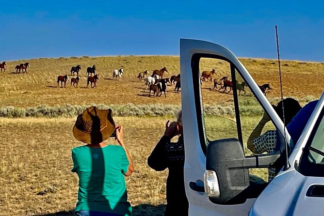 Red Canyon Small Group Wild Mustang Van Tours in Cody Wyoming - Wildlife Encounters and Scenic Views