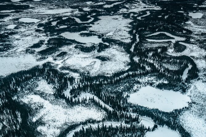 Reindeer and Heli Flightseeing Day Trip With Lunch - Dining at Latitude 65