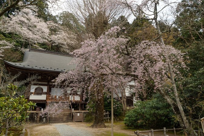 Relaxed Nara Tour From Osaka: Hasedera and Muroji Temples - Inclusions and Exclusions of the Tour