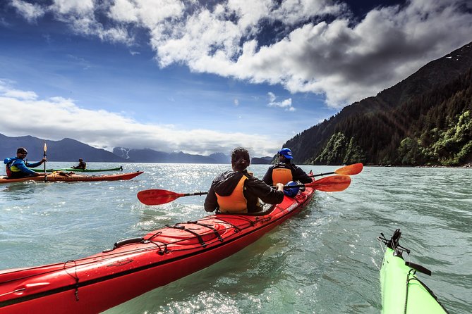 Resurrection Bay Kayaking Adventure - Meeting Point and Departure