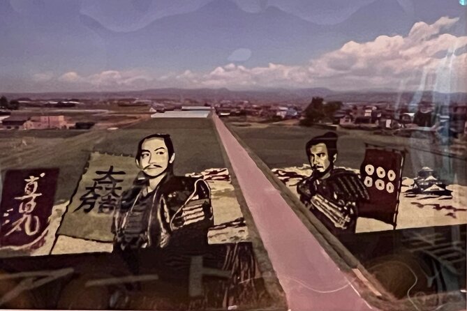Rice Paddy Art Half Day Tour in Aomori - Accessibility