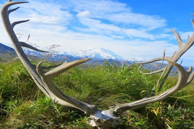 River Rafting in Alaska Wilderness - Customer Reviews and Experiences