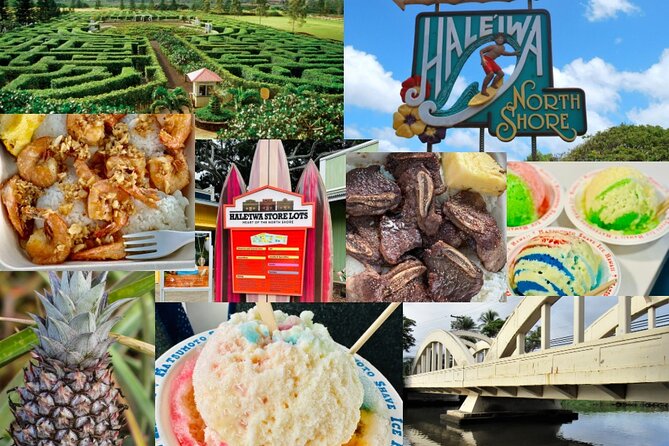 Roundtrip Shuttle From Waikiki to Dole Plantation & Haleiwa Town - Customer Feedback on Dole Plantation