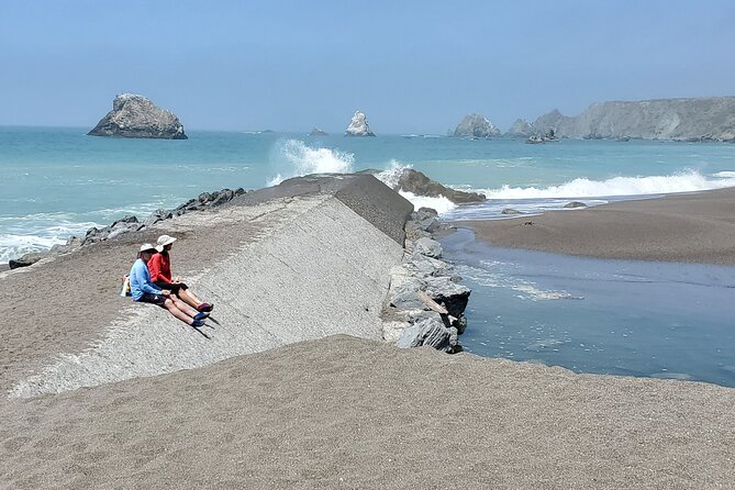 Russian River Kayak Tour at the Beautiful Sonoma Coast - Safety and Preparation