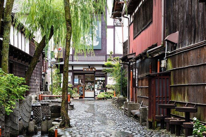 Sakura 1 Day Tour With Charter Train and Boat From Nagoya - Supplied By