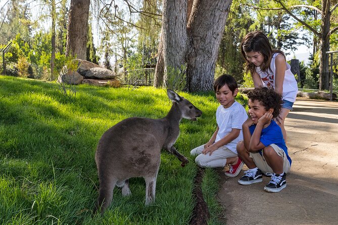 San Diego Zoo Safari Park 1-Day Pass: Any Day Ticket - Planning Your Visit