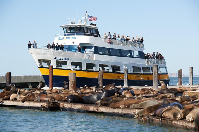 San Francisco Bay Cruise - Cruise Experience and Highlights