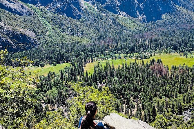 San Francisco to Yosemite One-Way Transfer - Customer Feedback and Ratings