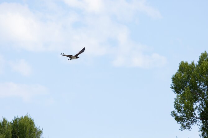 Scenic Wildlife Float Trip With Teton Views - Guest Experiences and Reviews