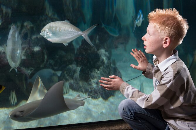SEA LIFE Michigan Aquarium Admission Ticket - Educational Experiences