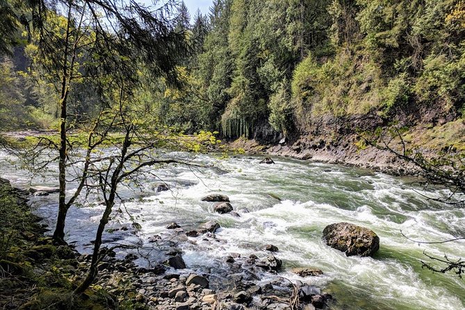 Seattle Wine and Waterfall Luxury Small-Group Day Tour With Lunch - Personalized Small-Group Experience