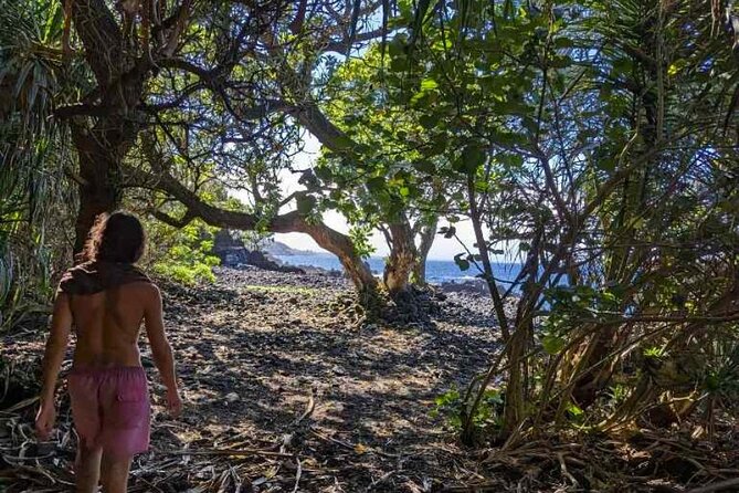 Secret Jungle Tide Pool Hike - Private - Recommended Gear and Preparation