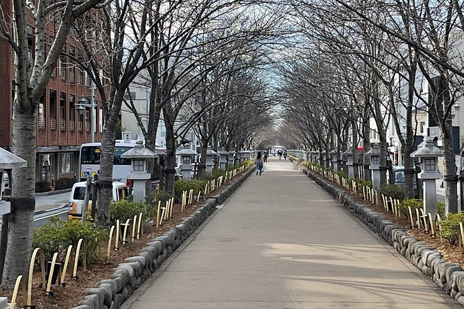 SEE MORE! KAMAKURA DEEP TOUR - by Car W/Local Guide (Group Price) - Booking Information
