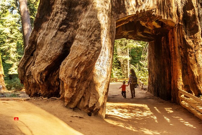 Self-Guided Audio Driving Tour in Yosemite - Pricing and Cancellation Policy