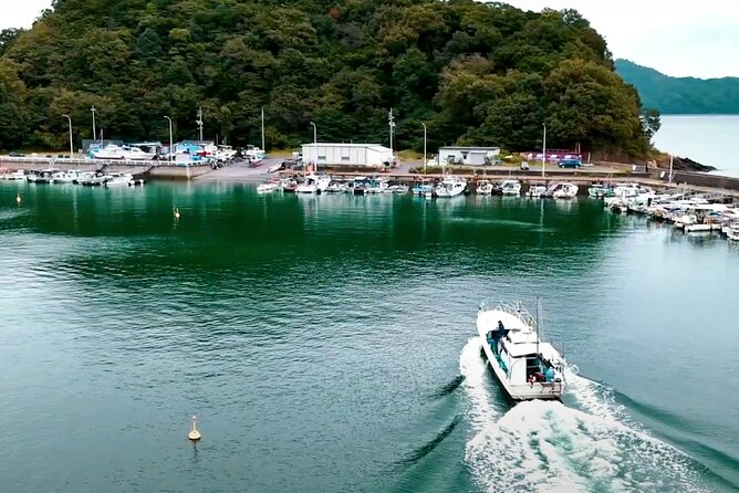 Setouchi Fishing and Culinary Adventure - Booking Information