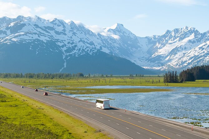 Seward to Anchorage Wildlife Adventure - The Sum Up