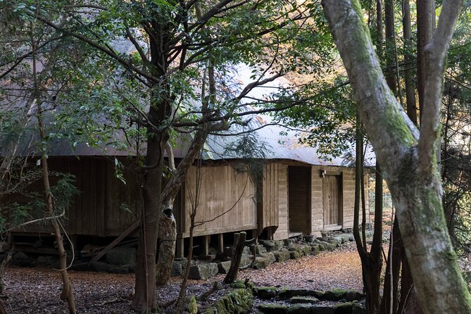 Shinrinyoku Explore the Historic Sites of Shugendo Culture - Meeting the Knowledgeable Local Guide