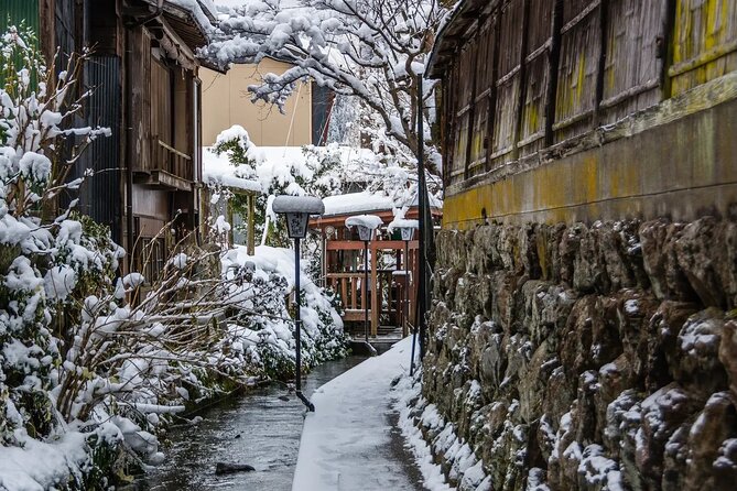 Shirakawago Gujo Hachiman and Hida Takayama One Day Tour | Nagoya - Accessibility and Participation