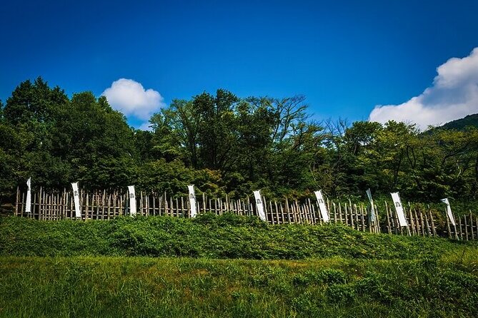 SHOGUN Samurai Battlefield Tour in Gifu, One Day Trip From Kyoto - Private Transportation